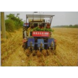 3-BIGDEL Sebze fide dikim makinesi 6 sıralı traktöre takılan model